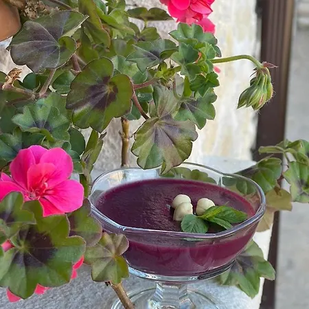 Meryem Hanim Butik Hotel Fatsa